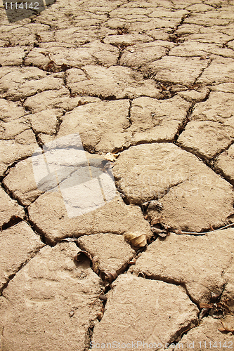 Image of Dried and cracked earth