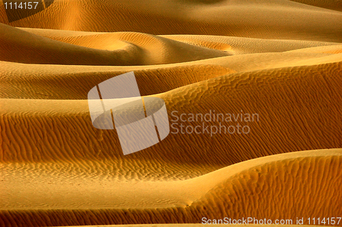 Image of Desert textures