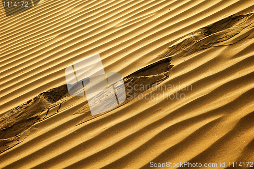 Image of Desert textures