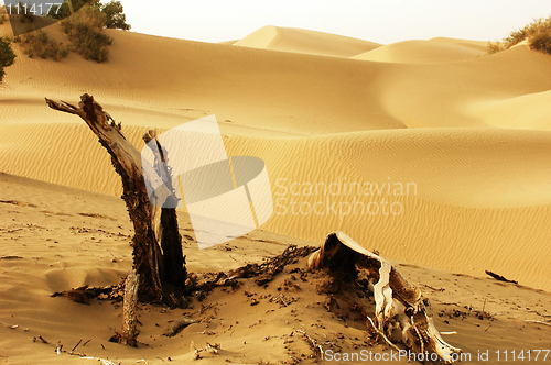 Image of Landscape of deserts