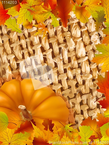 Image of Colorful frame of fallen autumn leaves.