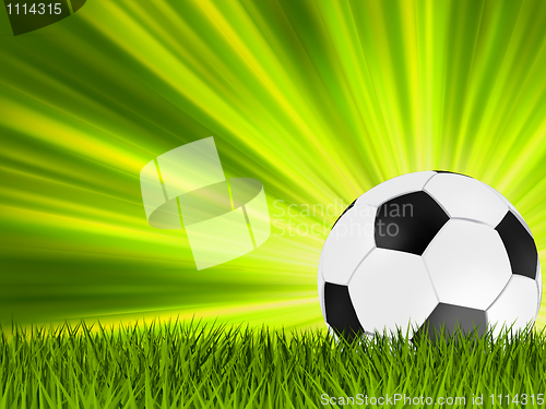 Image of Football or soccer ball on grass. EPS 8