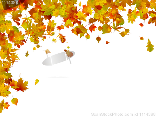 Image of Background of autumn leaves. EPS 8