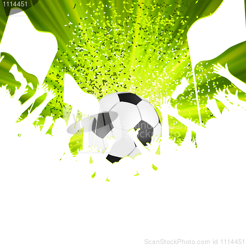 Image of Football fans crowd. EPS 8