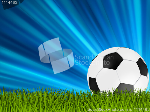 Image of Football or soccer ball on grass. EPS 8