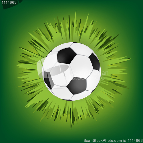 Image of Green call out area with soccer ball. EPS 8