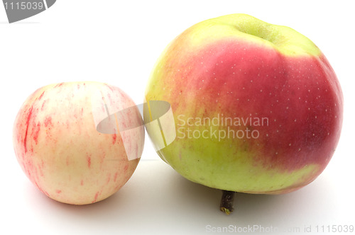 Image of Apples.