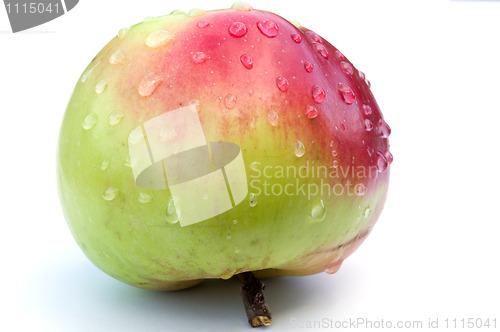 Image of Apple in water drops.