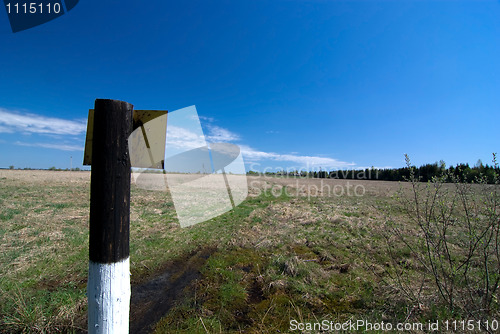 Image of Column in the field