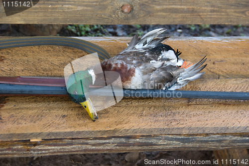 Image of The hunting still-life.