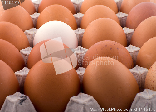 Image of Background from eggs.