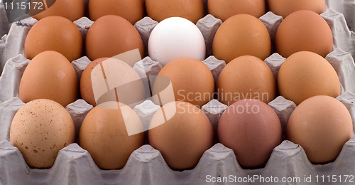 Image of Background from eggs.