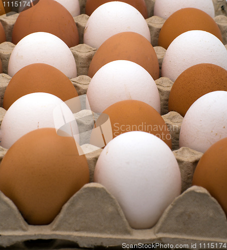 Image of Background from eggs.