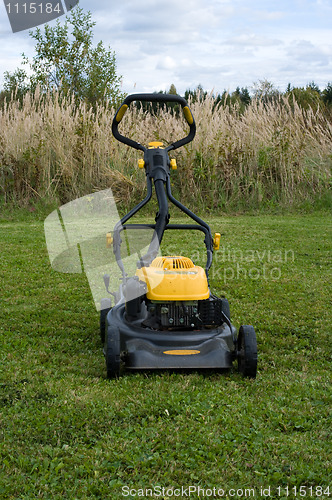 Image of Lawn mower.