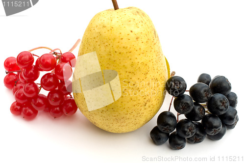 Image of Berries and fruit.