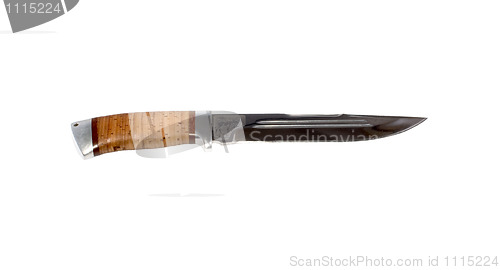 Image of The hunting knife