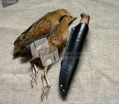 Image of Hunting knife and game.