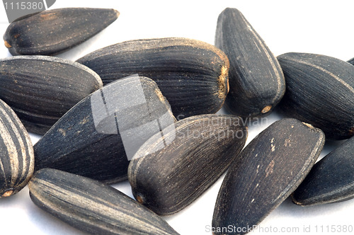 Image of Seeds of sunflower.