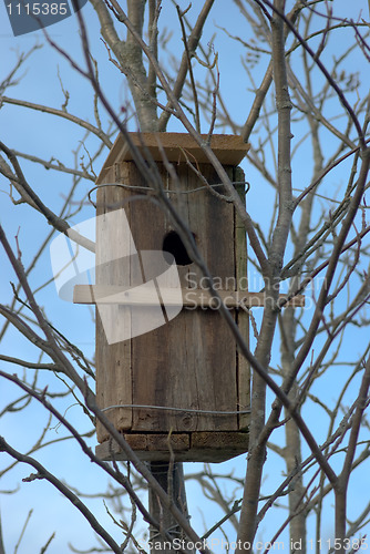 Image of Starling nest