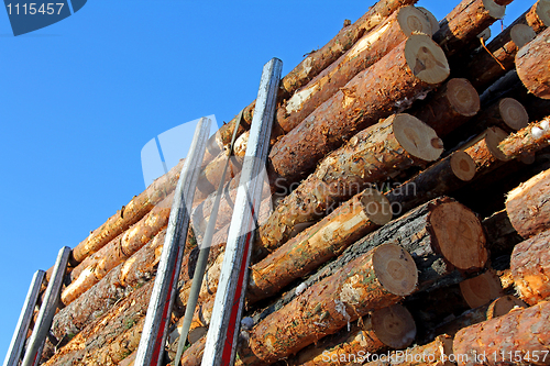 Image of Pine Timber on Logging Trailer
