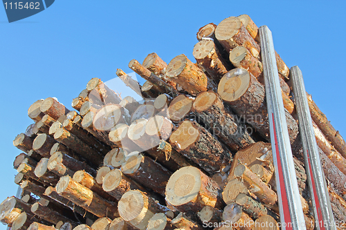 Image of Pine Logs on Trailer