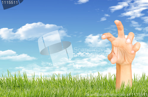 Image of Green grass, blue sky and  hand