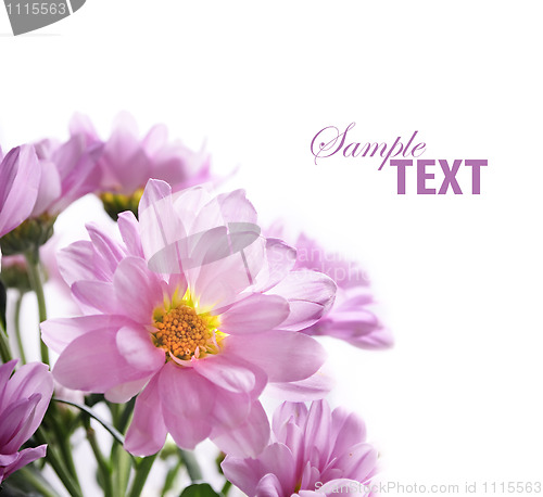 Image of Flower bouquet