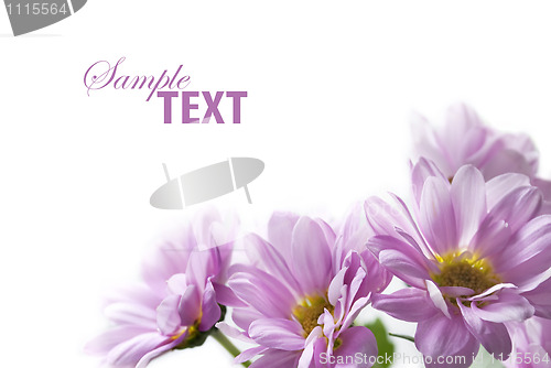 Image of Flower bouquet 