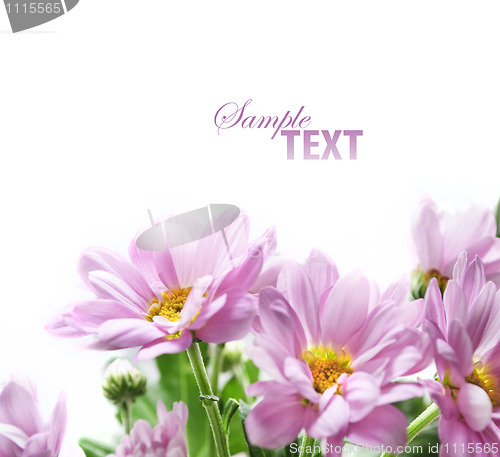 Image of Flower bouquet