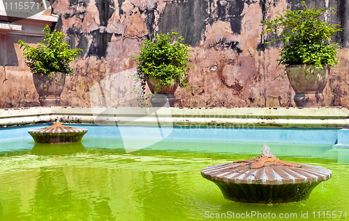 Image of Taman sari water castle green pool