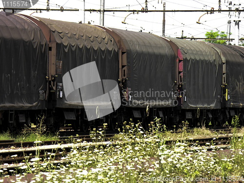 Image of Abandoned Train Wagons