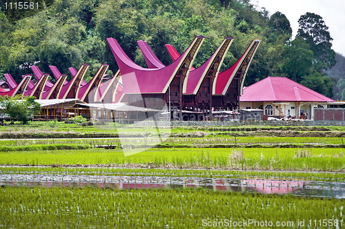 Image of Toraja village