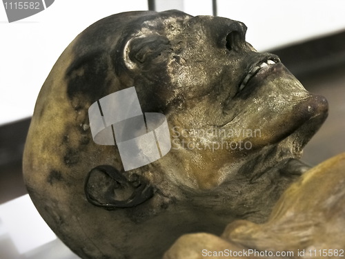 Image of Mummy face