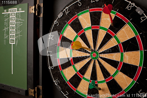 Image of Professional Dart Board