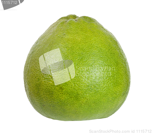 Image of Tropical fruit - Pomelo