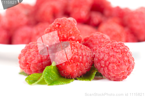 Image of fresh raspberry