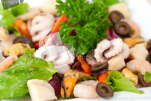 Image of Seafood salad