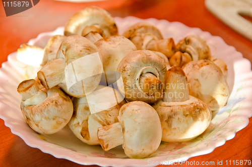 Image of champignons