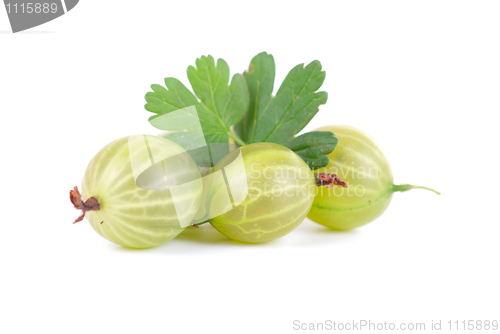 Image of gooseberries