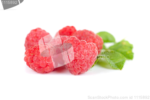 Image of fresh raspberry