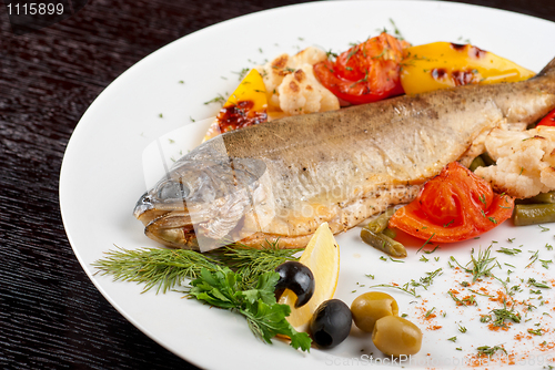 Image of trout fish