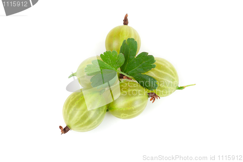 Image of gooseberries