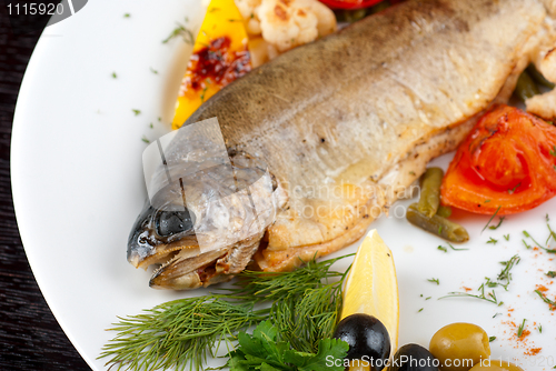Image of trout fish