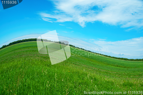 Image of nature background