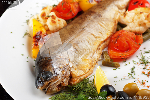 Image of trout fish