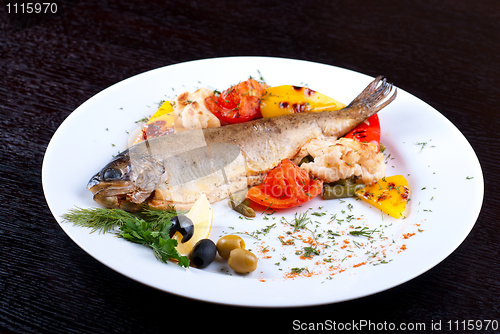 Image of trout fish