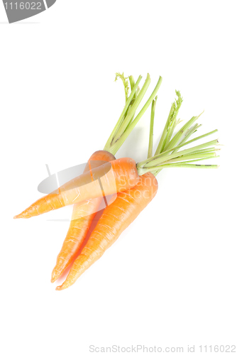 Image of Ripe carrots