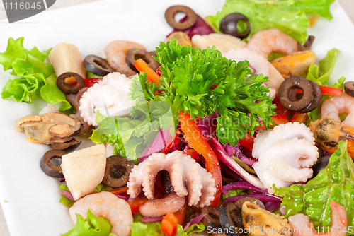 Image of Seafood salad