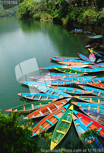 Image of Colorful tour boats