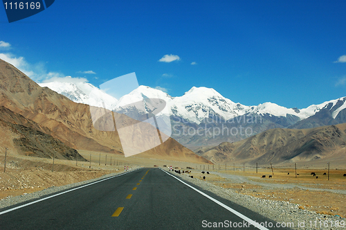 Image of Highway towards snow mountains